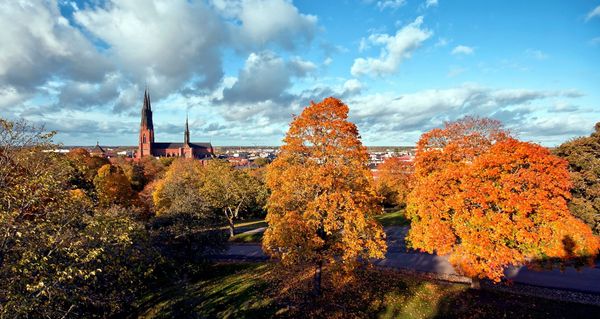 Sixt Biludlejning Uppsala Banegård